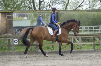 Biomechanica van rijders: 13 dingen om in gedachten te houden als je een goede rijder wilt zijn